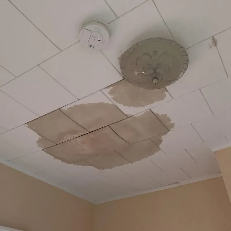 Ceiling Water Damage Repair in Middle Island, NY